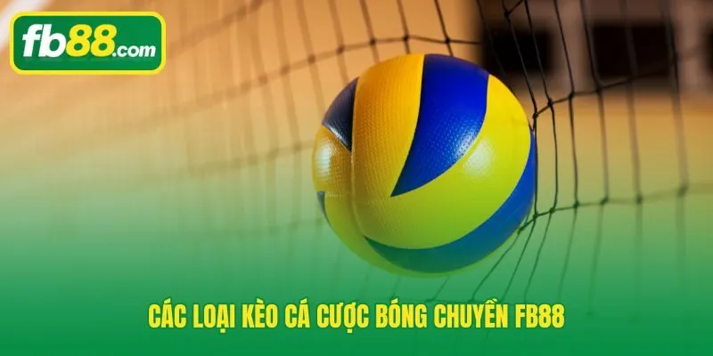Cách cá cược bóng chuyền qua bản đồ kèo chấp set và tài xỉu tổng điểm
