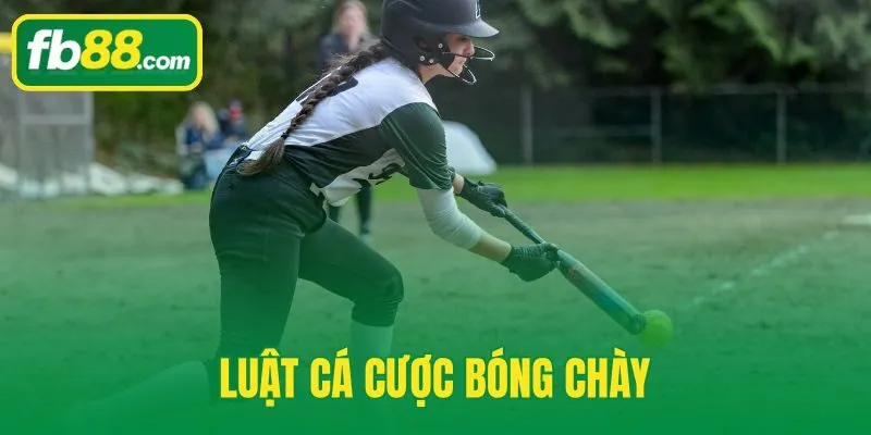 Luật Cá Cược Bóng Chày